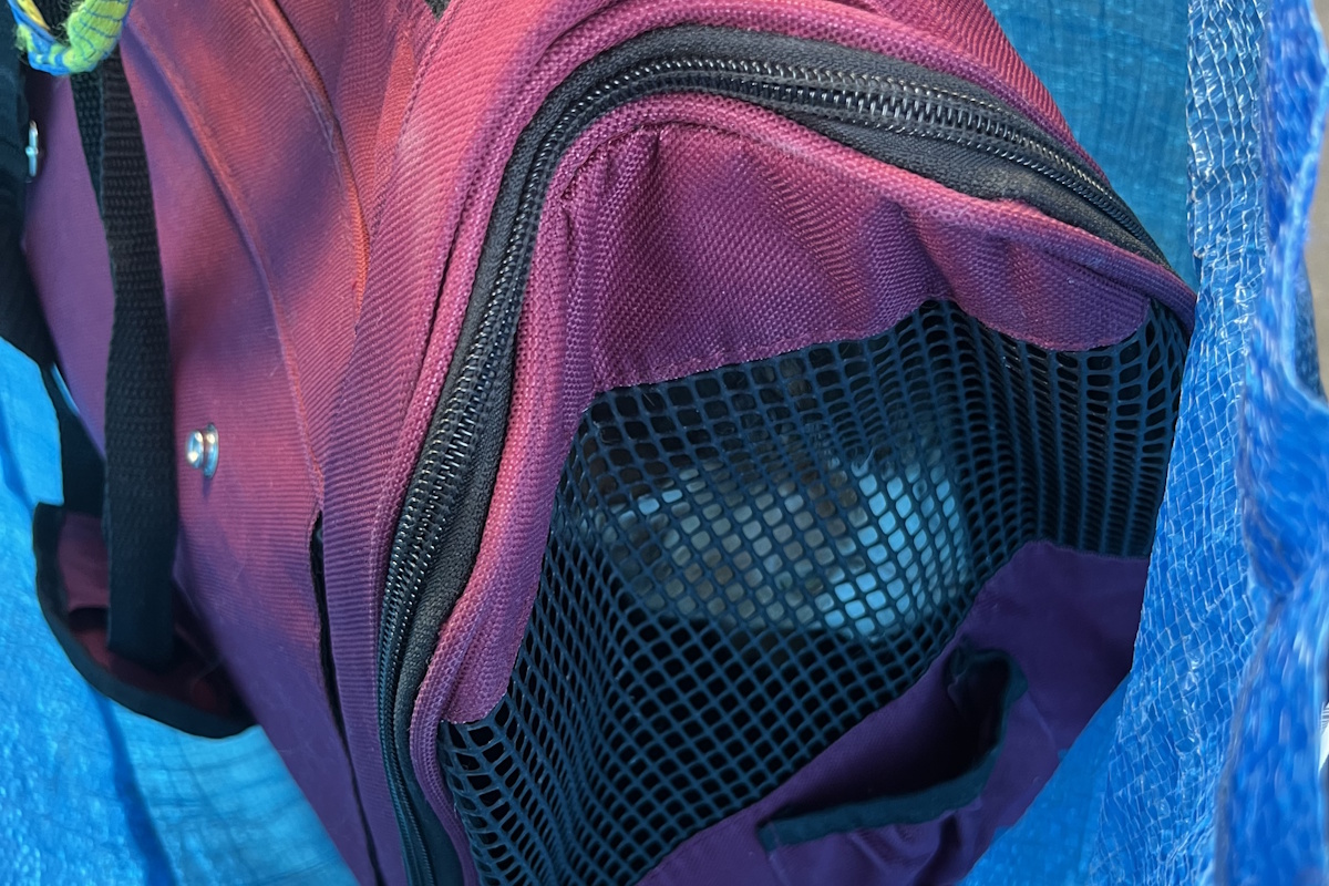 Florine dans un sac de transport lors d'un sauvetage