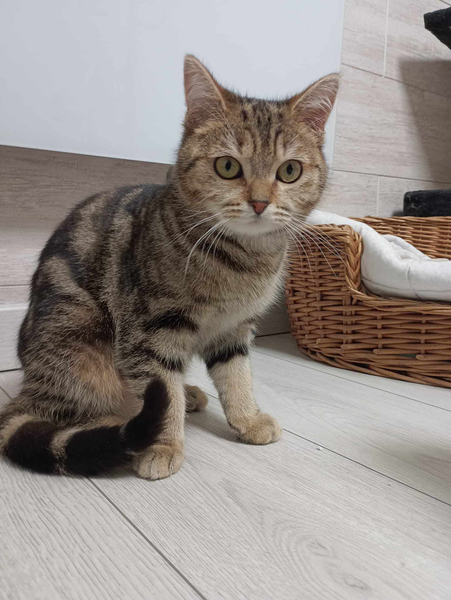 476504197 1167431411405956 8455906868161705421 n