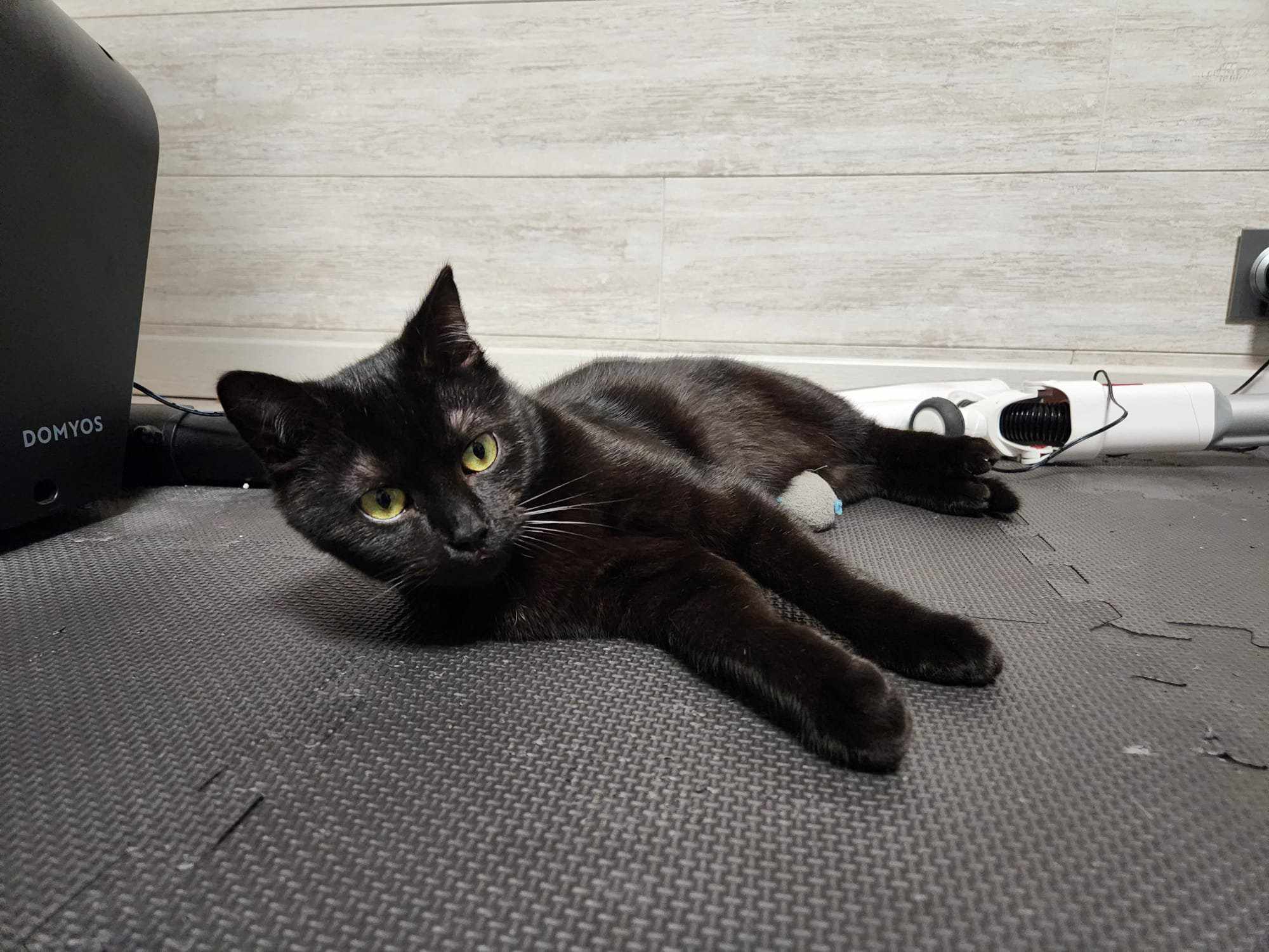 476506250 969781001783721 1655601777576313720 n