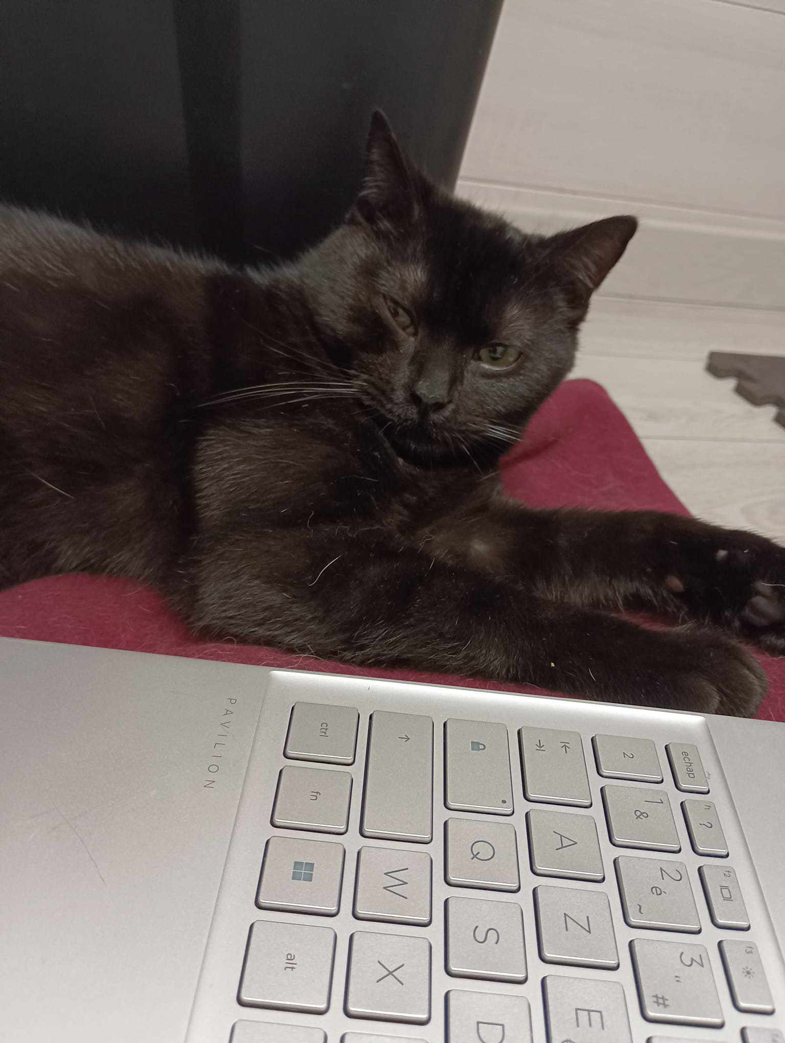 476508347 666011829197749 344862512264853748 n