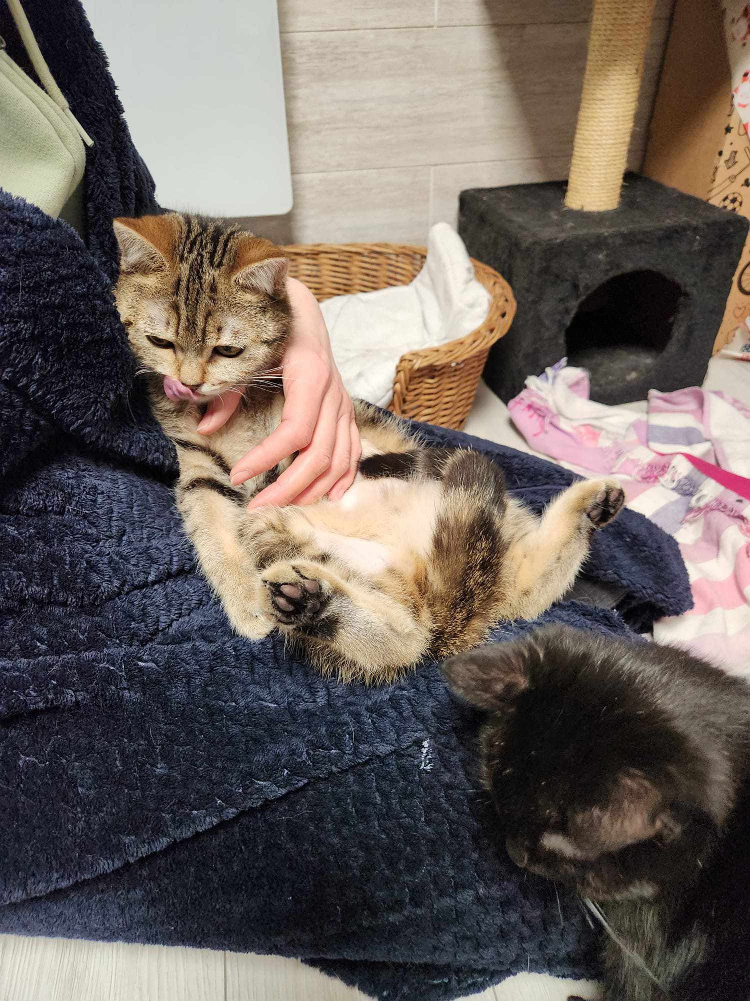 479548228 538972551906857 8022854457859645862 n