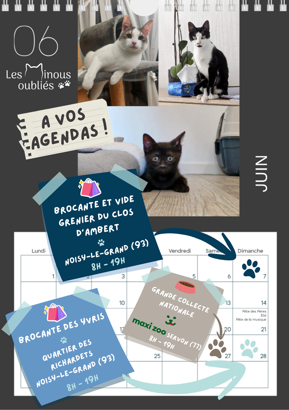 calendrier_2026_juin.png